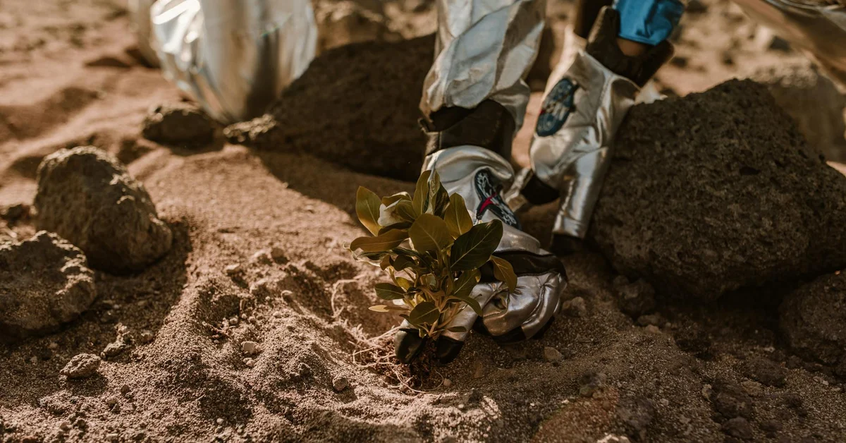 Asteroid Bennu Has Every Ingredient Needed for Life