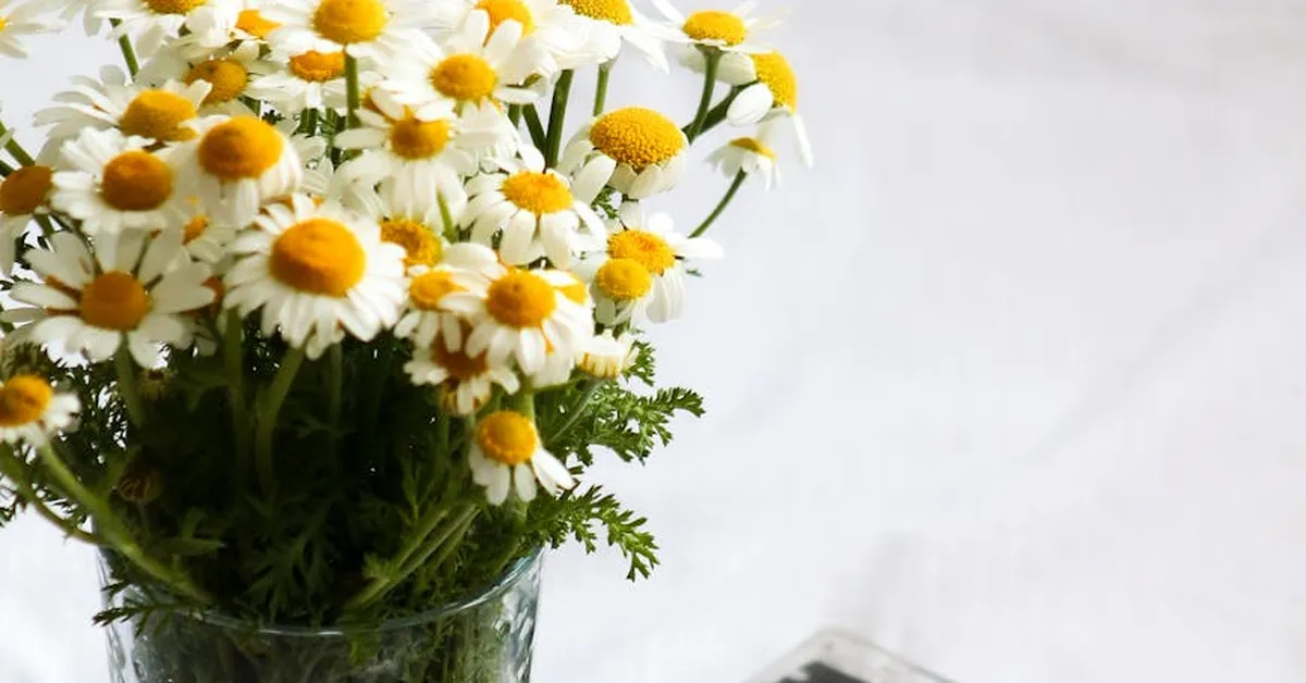 Tech's Minimalist Rebellion: Less Stuff, More Bittersweet Symphony