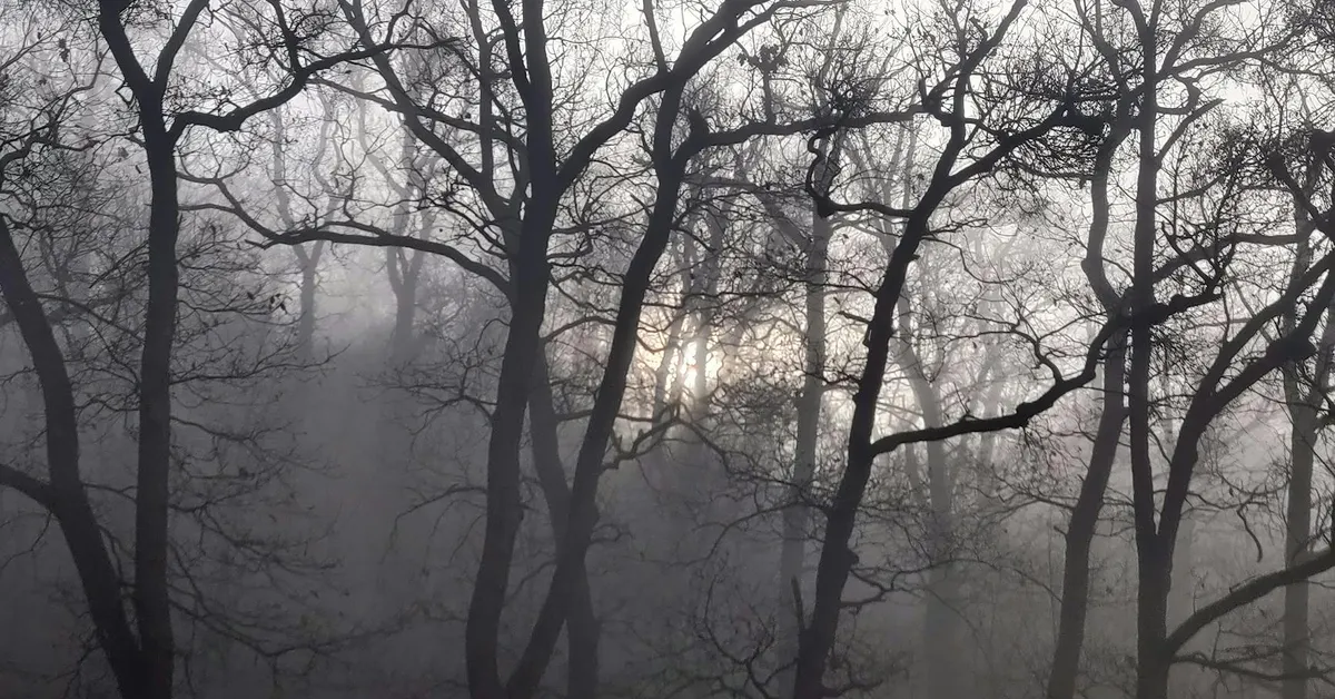 Your ADHD Brain Fog Might Be Writing Checks Your Old Age Can't Cash