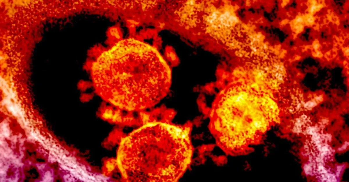 Article featured image