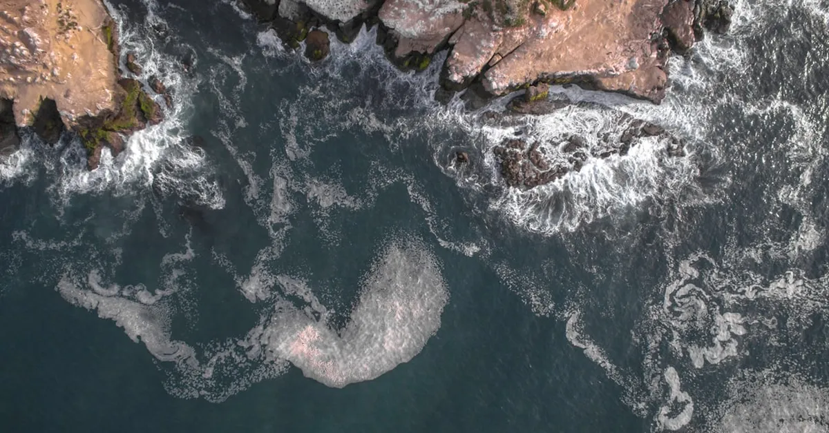 Ocean Swimming's Hidden Health Crisis: How Coastal Waters Are Creating Superbugs