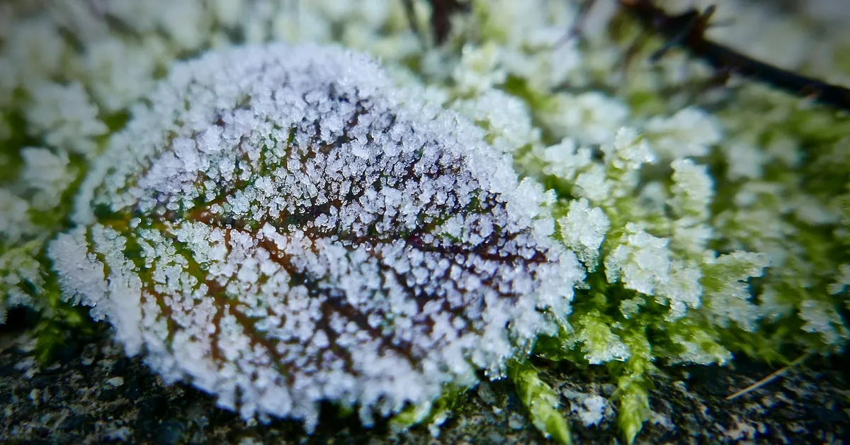 Baby, It's Cold Outside: How Your Conception Season Hacks Your Metabolism