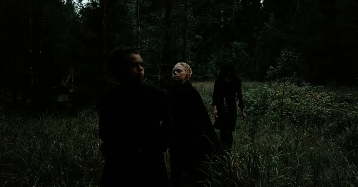 Article featured image