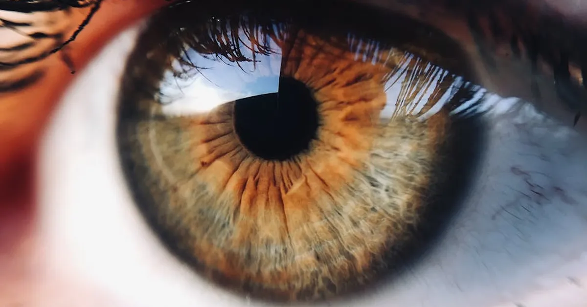 Scientists Give Mice Golden Eyes, and Humans Might Be Next