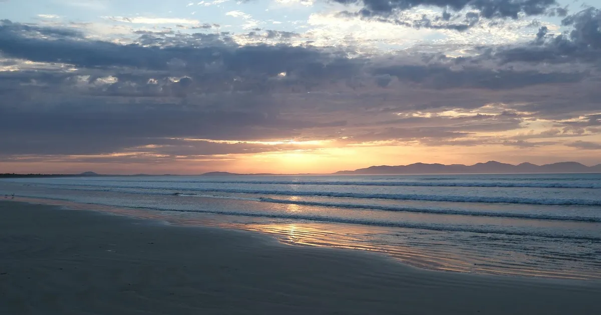 Japan’s Magic Plastic Trick: Your Water Bottle Disappears Before Breakfast