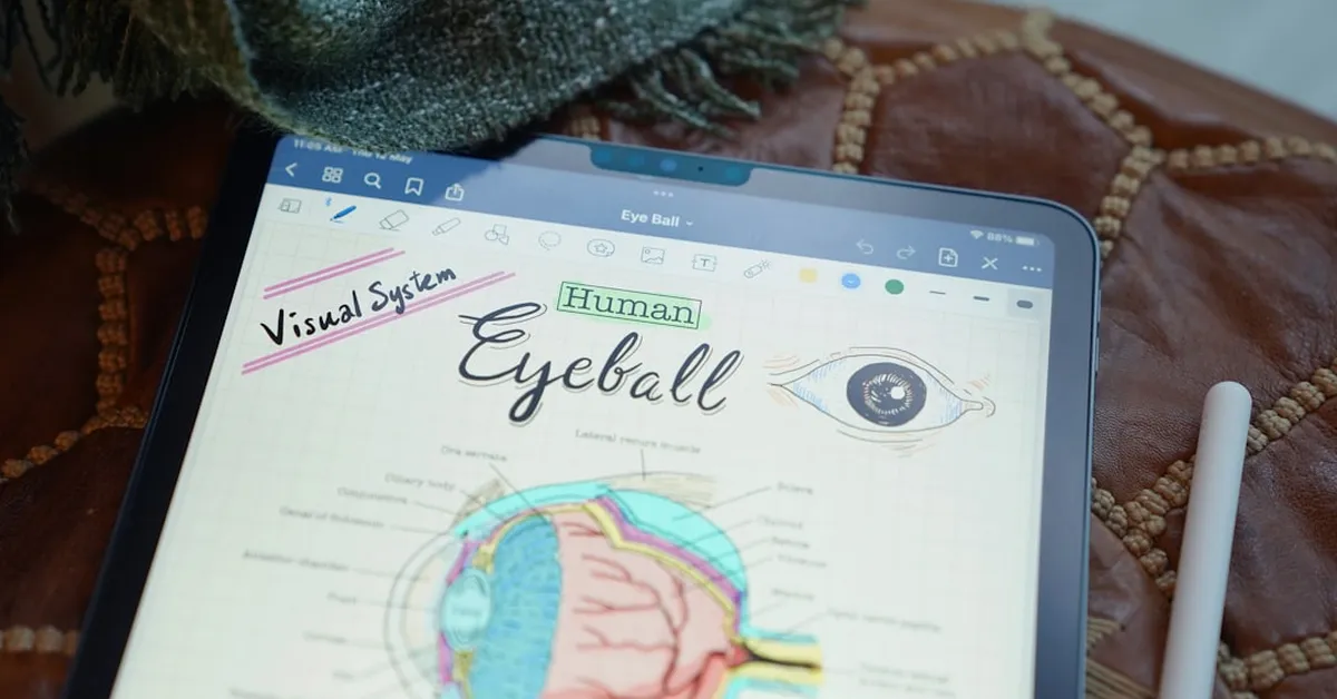 Your Brain Must Learn to See: The Shocking Truth About Vision