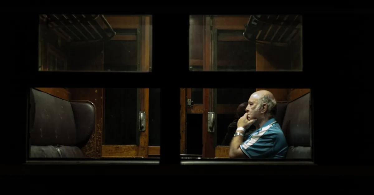 Born Depressed, Born Wiser? How Depression May Enhance Political Independence