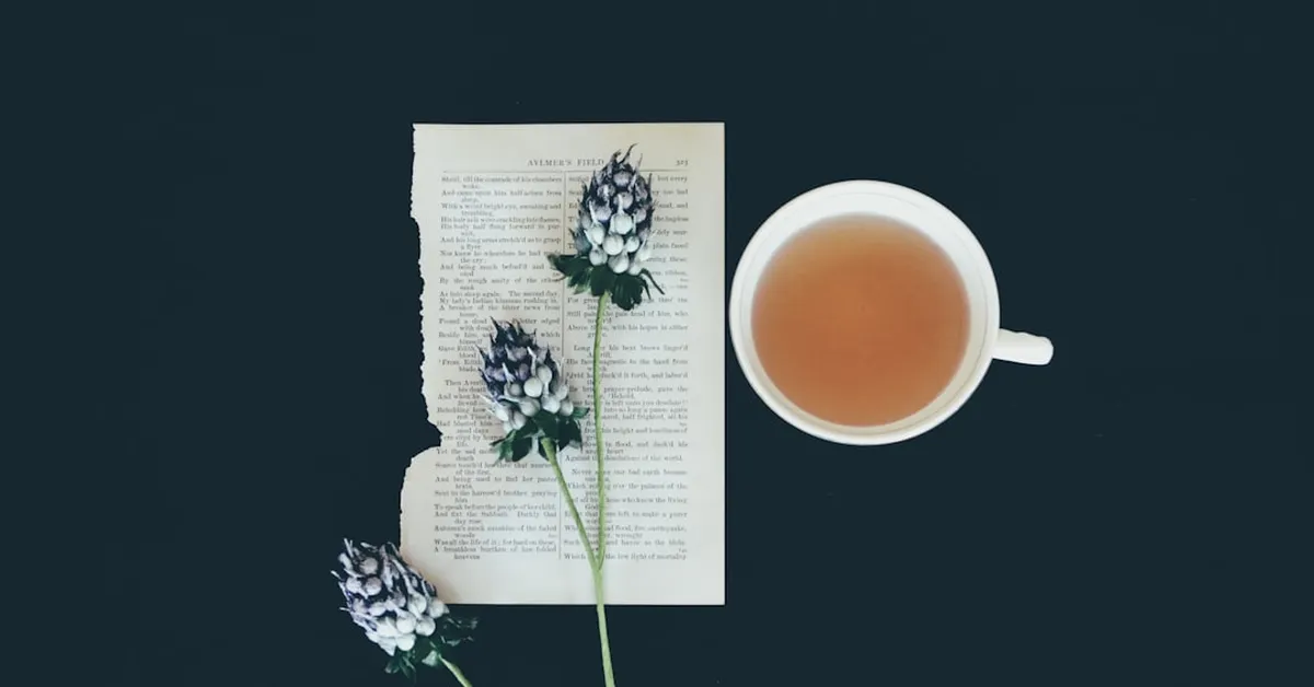 Tea as Urban Water Filter: How Your Daily Brew Could Help Combat Lead Poisoning